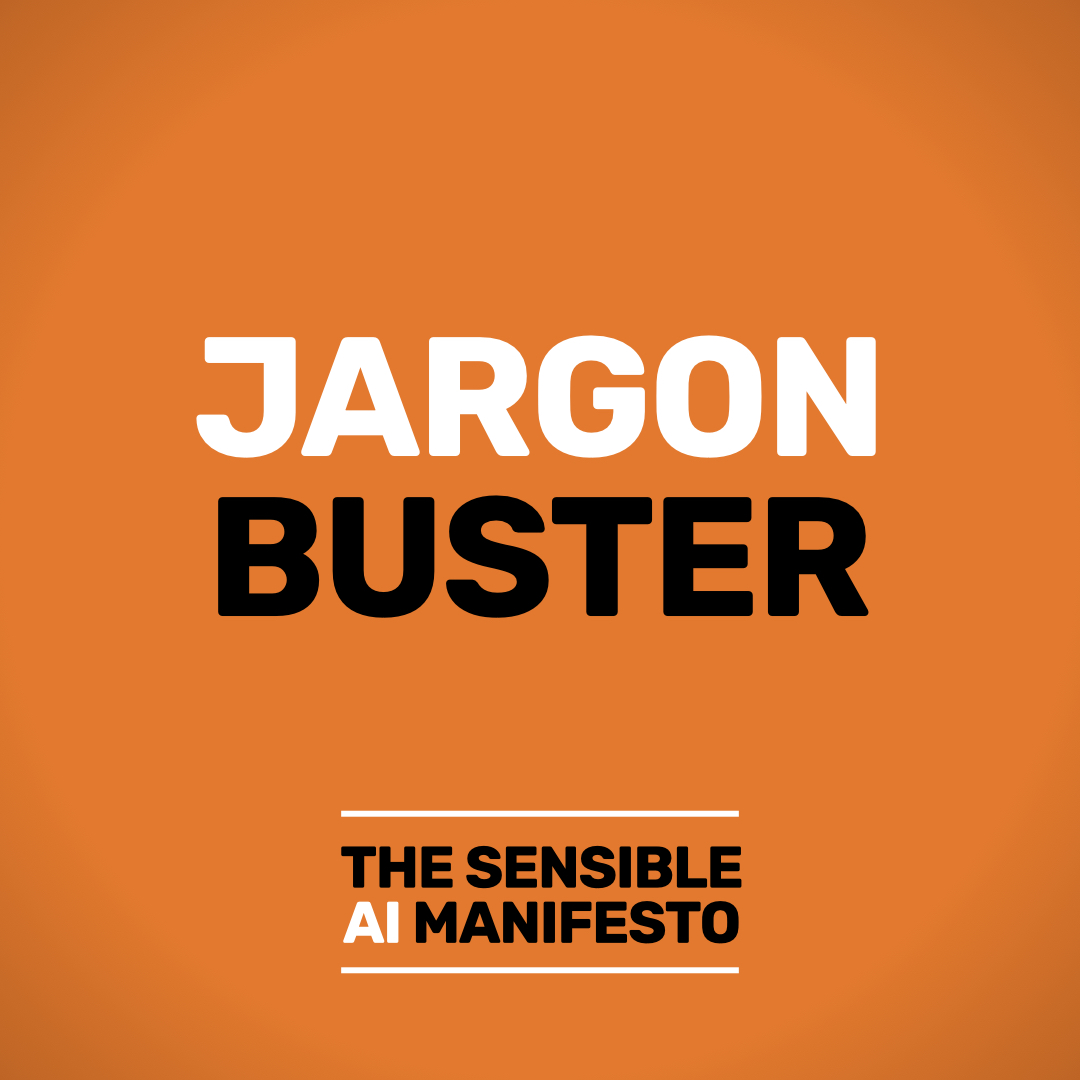 Jargon Buster from The Sensible AI Manifesto Jargon Buster from The Sensible AI Manifesto