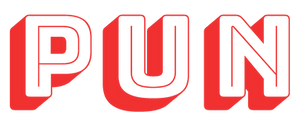 PUN supports The Sensible AI Manifesto